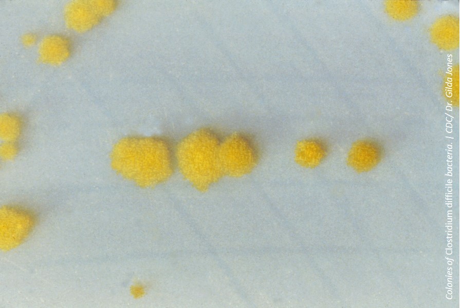 Genepoc c diff test approved by fda