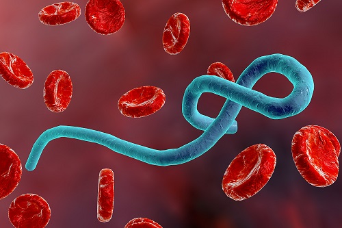 New Ebola Virus Vaccines Show Promise in Clinical Trials with Humans - Contagionlive.com