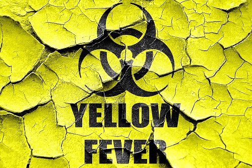 Brazil Yellow Fever Outbreak Persists Although Number of ...
