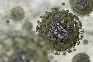 influenza