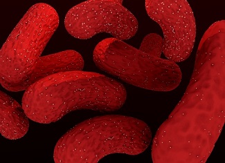 Combinations Of Up To 5 Antibiotics May Work Against Resistant E Coli