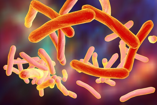 tuberculosis